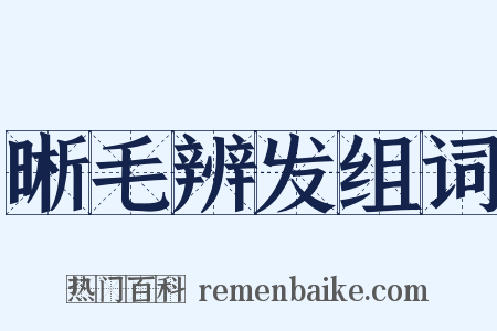 晰毛辨发组词是什么意思的图片
